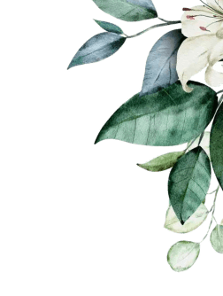 Lorem ipsum dolor sit amet